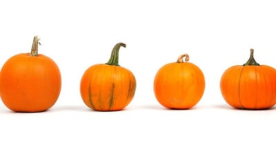 3 vegetarische Kürbis-Rezepte