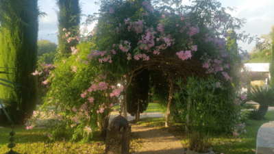 Blütenpracht im Agroturismo Atzaró