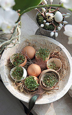 Deko-Idee für Ostern: Kresse-Eier; Bildquelle: © Anja Löschner - Fotolia.com