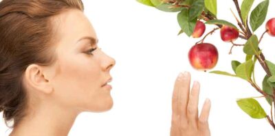 Nahrungsmittel mit Anti Aging Effekt