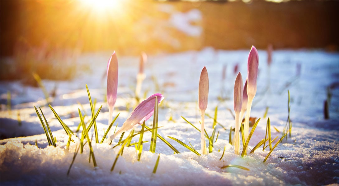 Ohne viel Aufwand den Garten winterfest machen
