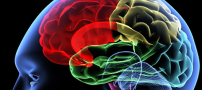 So trainierst du dein Gedächtnis