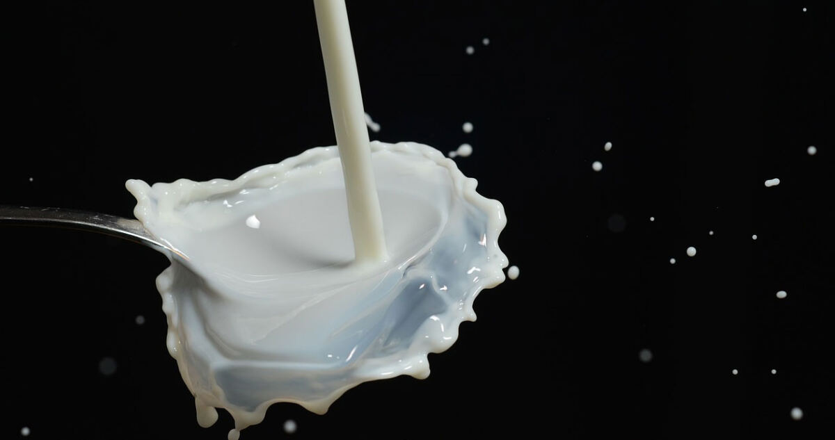 Milchprodukte - ja oder nein?