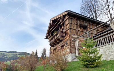 Hotel-Test Chaletdorf Prechtlgut