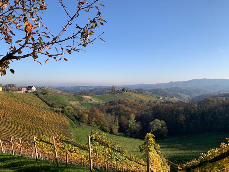 Landschaft genießen an der Südsteirischen Weinstraße
